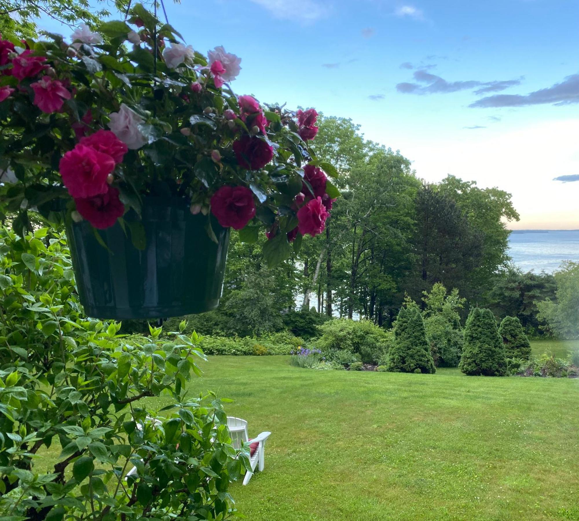 Bed and Breakfast Victorian By The Sea Линкольнвилл Экстерьер фото